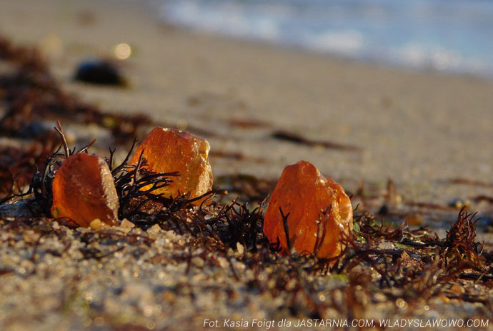 Małe kawałki bursztynu na plaży
