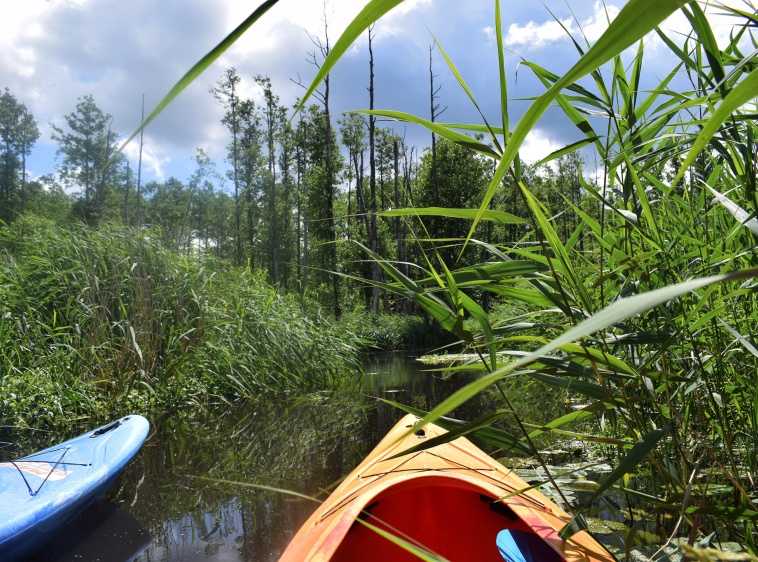 KAJAKAMI PO HORYZONT