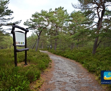 Ścieżka przyrodniczo-leśna w Białog&oacute;rze.